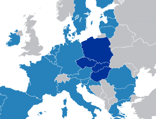 foRMAtion as a flagship initiative in the Visegrad countries